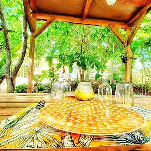 Glamping Farmer Tente de luxe